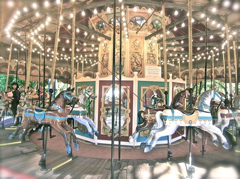 carousel   zoo loved  western australia carousel