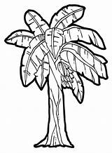 Banana Tree Coloring Drawing Clipart Plant Bunch Pages Clip Colouring Trees Cliparts Kids Getdrawings Line Netart Library sketch template