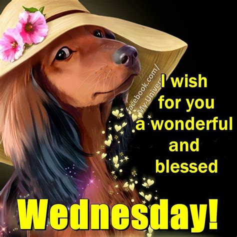 blessed wednesday blessed wednesday     wonderful