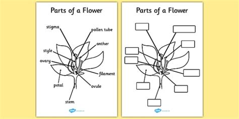 label  parts   flower label design ideas