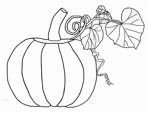 pumpkin coloring pages  preschool coloring home