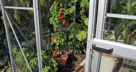 Christie Glasshouses Garden Sheds Helping Kiwis Grow Over 100 Years