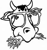 Vaca Colorat Stieren Desene Taureau Kleurplaten Coloriages Kleurplaat Planse Ausmalbilder Stiere Taureaux Animale Cows Cu Coloriage Colorier Animaatjes Malvorlage Dessin sketch template