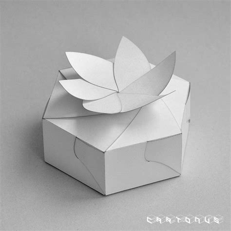 template  box hexagonal carton  board  petals etsy