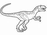 Dinossauro Dinossauros Pintar Pages Majungasaurus sketch template