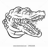 Crocodile Alligator Open Mouth Vector Drawing Clipart Illustration Sketch Outline Head Easy Draw Stock Eps Drawings Drawn Getdrawings Shutterstock Logo sketch template