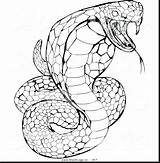 Cobra King Coloring Printable Drawing Pages Rattlesnake Diamondback Snake Drawings Getdrawings Template Clipartmag sketch template