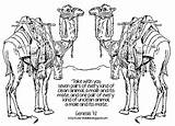 Coloring Two Camels Color sketch template