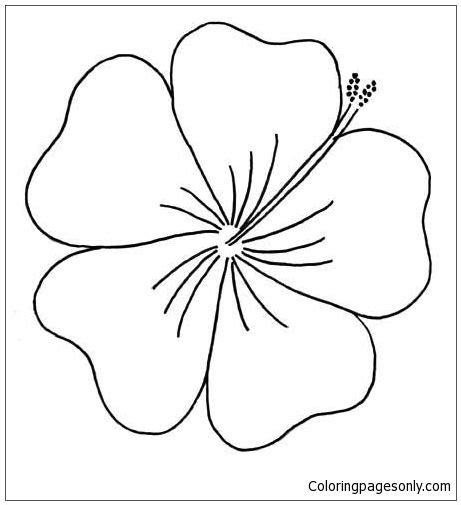 hibiscus  moana disney coloring page hawaiian flower drawing