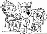 Paw Patrol Pages Coloring Printable Colouring Getcolorings Color Print sketch template