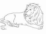 Lion Mouse Coloring Pages Rasta Lions Color Jungle Getdrawings Getcolorings Printable Print Choose Board African sketch template