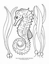 Seahorse Coloring Pages Horse Drawing Printable Color Cute Sea Adult Draw Mermaid Google Outline Kids Print Getdrawings Detailed Choose Board sketch template