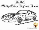 Coloring Car Cobra Pages Shelby Daytona 1965 Cars Yescoloring Book Race Coupe Kids sketch template