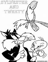 Tweety Coloring Pages Sylvester Cat Bird Colorings sketch template