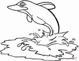 Dolphin Delfino Delfin Delfini Stampare Dauphin Kolorowanki Disegno Disegnare sketch template