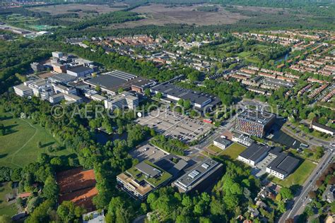 aerophotostock hilversum luchtfoto man bijt hond toren