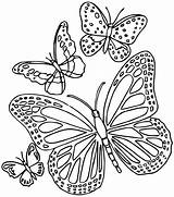 Butterfly Mandala Coloring Pages Mandalas Printable Getcolorings Color sketch template