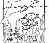 Aquarium Coloring Pages Kids Sea Printable Getcolorings Animal Color sketch template
