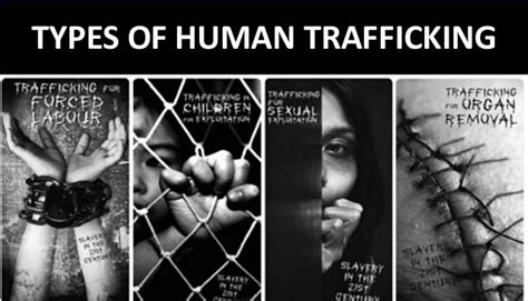vernuccio s view states laws passed in fight against human trafficking