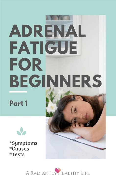 What Is Adrenal Fatigue And How To Fix It Adrenal Fatigue