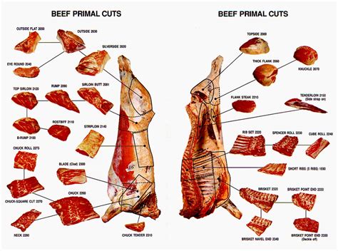 meat cuts durban halaal meats