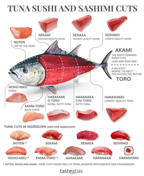 cuts  tuna rcoolguides