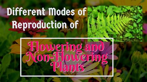 different modes of reproduction of flowering and non flowering plants