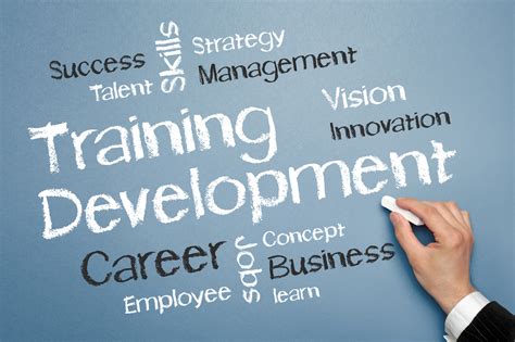 key ways  improve training  development sullivan taylor company