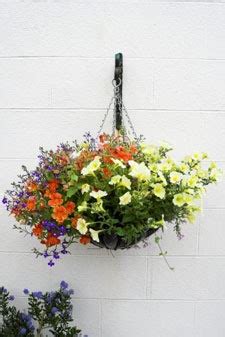 creating beautiful hanging baskets thriftyfun