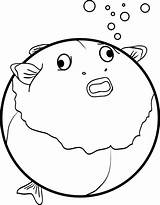 Coloring Pages Blowfish Bigger Getting sketch template
