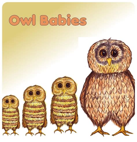 baby owl dot  dot printable worksheet connect  dots owl babies