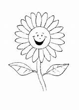Colorat Soarelui Floarea Planse Vesela Coloring Sunflower Planşe Găsiţi Multe sketch template