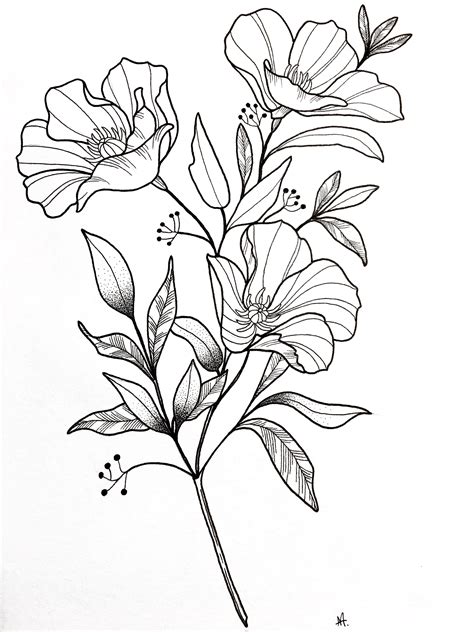 simple flower drawing designs dimecorazonteestoyescuchando