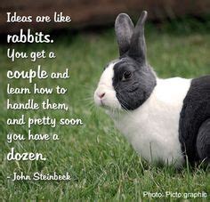 cute bunny quotes quotesgram