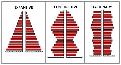 what is population pyramid planning tank
