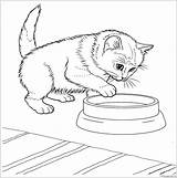 Kittens Coloring4free 2964 Coloringbay sketch template
