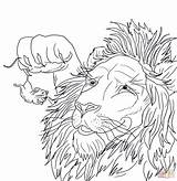 Lion Mouse Coloring Pages Big Tiny Caught Printable Clip Super Drawings Drawing Adult Books Kids sketch template
