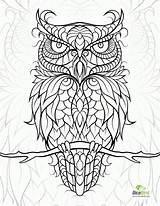 Coloring Pages Adult Owl Print Printable Popular sketch template