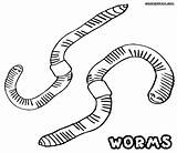 Worm Earthworm Wurm Ausmalbild Getdrawings sketch template
