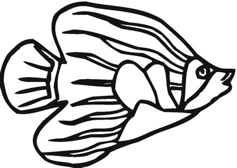 angelfish coloring page animals town animal color sheets angelfish