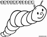 Caterpillar Colorings Coloringway sketch template