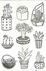 Cactus Coloring Kaktus Kakteen Ausdrucken sketch template