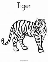 Tiger Coloring Twisty Built California Usa sketch template