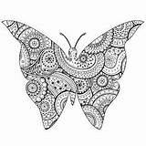 Papillon Farfalle Zentangle Erwachsene Mariposas Insectos Adulti Schmetterlinge Insetti Insekten Malbuch Insectes Adults Coloriage Avec Insects Colorier Justcolor Stampare Papillons sketch template