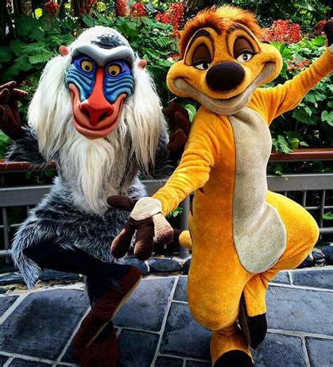 Timon And Rafiki Lion King Costume He Lives In You