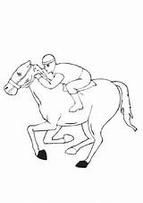 Rennpferd Dickes Pferde Pferd Malvorlagen Pflug Pony sketch template