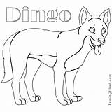 Dingo Coloring Pages Easy Print Sheets Kids Printable Animal Pdf Coloringfolder Animals Getcolorings Getdrawings sketch template