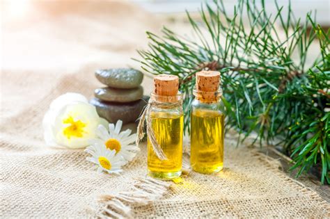 essential oils guide  facts   knew  essential oils