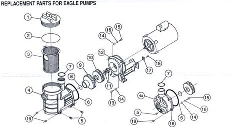 pentair eagle pump parts diagram