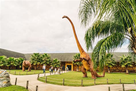 pet friendly dinosaur world theme park  florida travel pockets